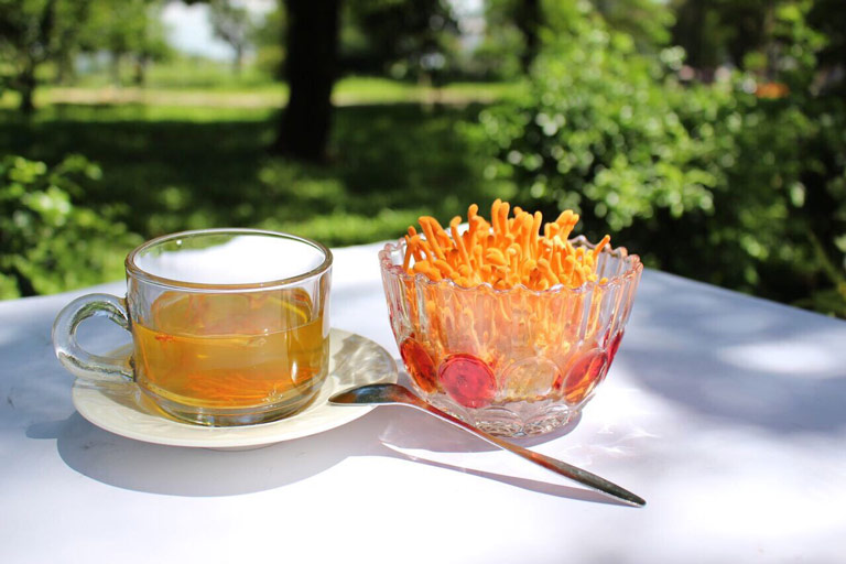 Đông trùng hạ thảo tươi dùng để pha trà tốt cho sức khoẻ và tinh thần