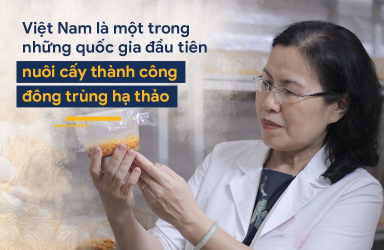 Việt Nam đã nuôi cấy thành công đông trùng hạ thảo