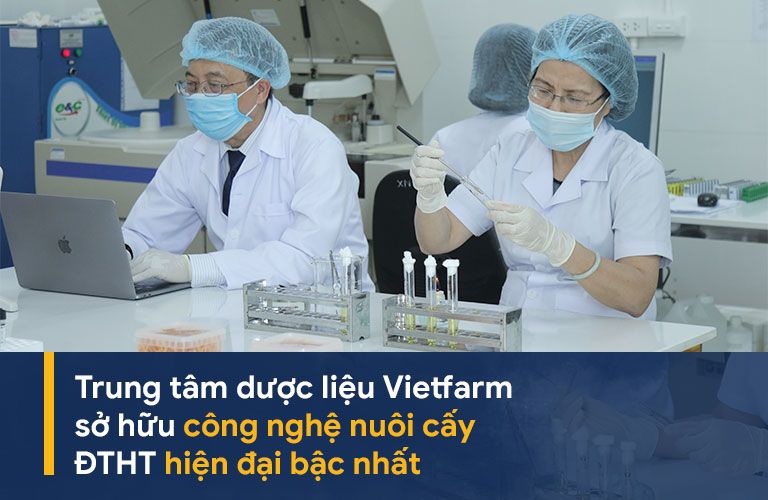 Trung tâm Dược liệu Vietfarm sở hữu công nghệ nuôi cấy hiện đại