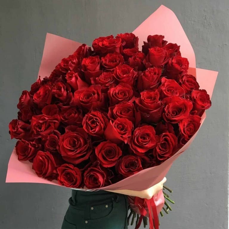 Hoa hồng nhung, tình yêu chân thành gửi đến nàng trong một ngày ý nghĩa