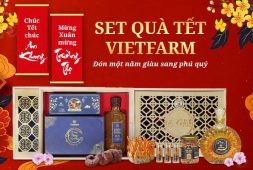 [HOT] Đông trùng hạ thảo Vietfarm ra mắt các set quà tặng thượng lưu mùa Tết Tân Sửu 2021 dẫn đầu xu hướng thập niên mới