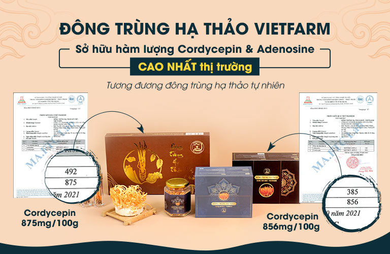 Đông trùng hạ thảo Vietfarm sở hữu hàm lượng hoạt chất Cordycepin và Adenosin cao nhất thị trường