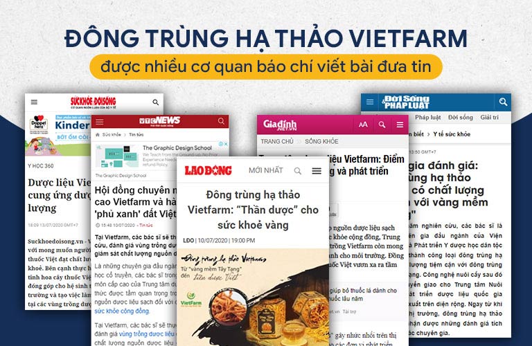 Đông trùng hạ thảo Vietfarm - Thương hiệu úy tín được báo chí, truyền thông đánh giá tích cực