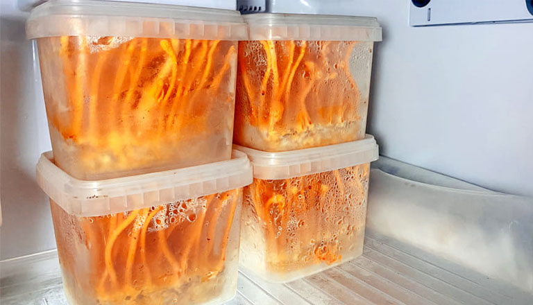 Bảo quản đông trùng tươi trong tủ lạnh