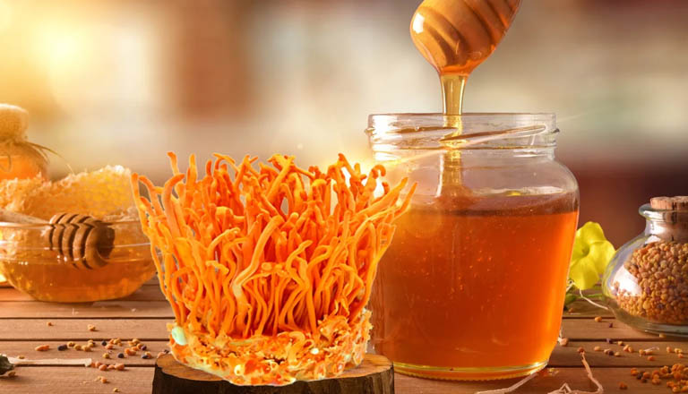 Đông trùng hạ thảo ngâm mật ong được sử dụng phổ biến