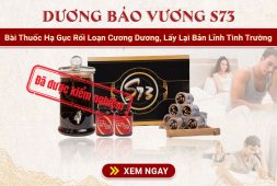 duong-bao-vuong-s73-roi-loan-duong-duong
